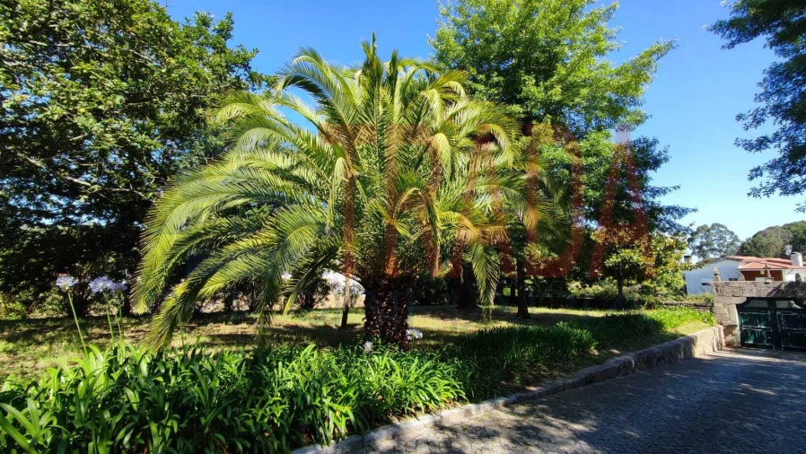 Quinta T3 para Venda em Vilaça e Fradelos Foto 15