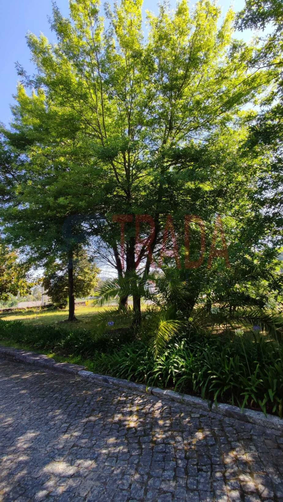 Quinta T3 para Venda em Vilaça e Fradelos Foto 16