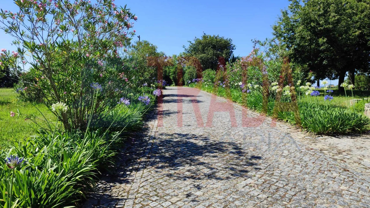 Quinta T3 para Venda em Vilaça e Fradelos Foto 19