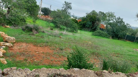 Terreno para Venda em Albufeira e Olhos de Água
