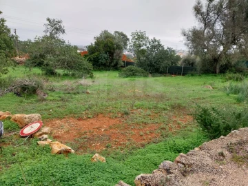 Terreno para Venda em Albufeira e Olhos de Água