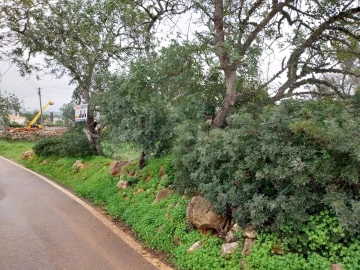 Terreno para Venda em Albufeira e Olhos de Água
