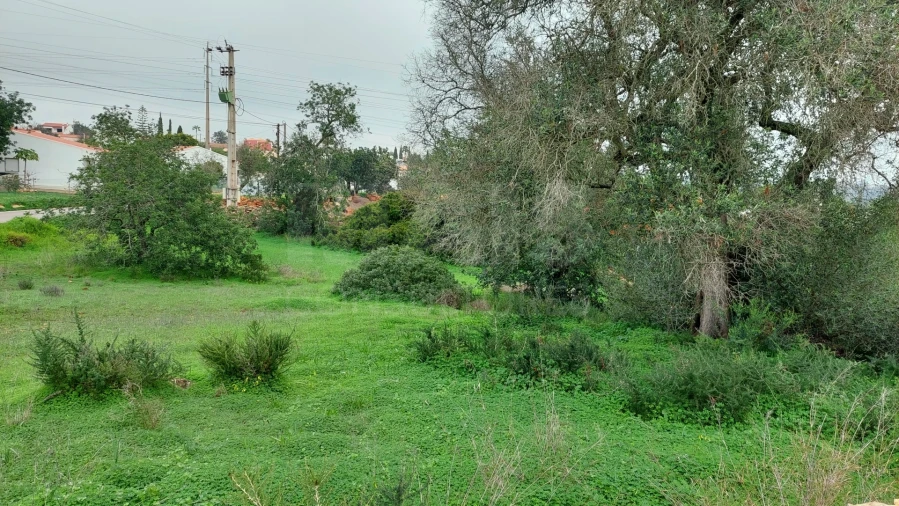 Terreno para Venda em Albufeira e Olhos de Água Foto 11