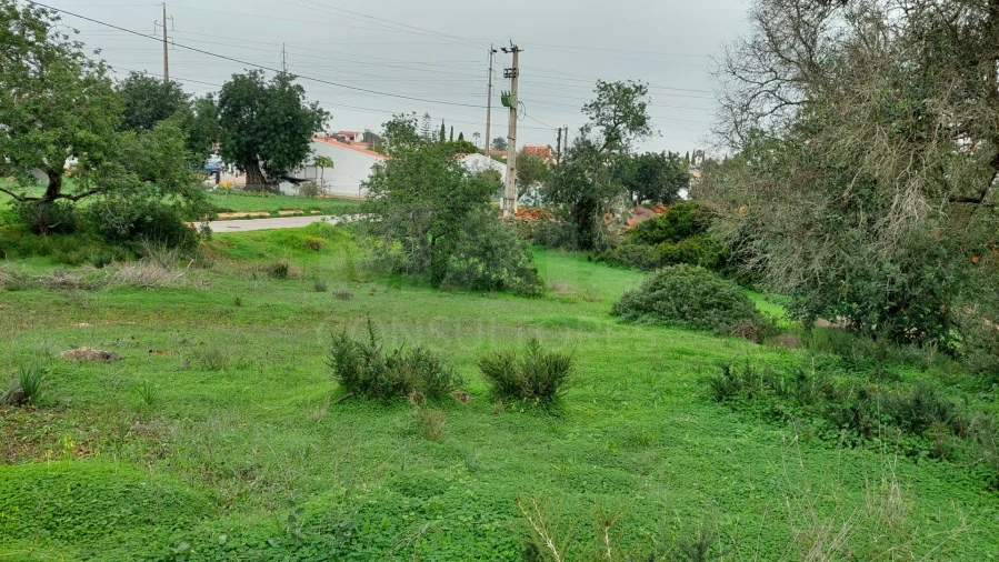 Terreno para Venda em Albufeira e Olhos de Água Foto 5