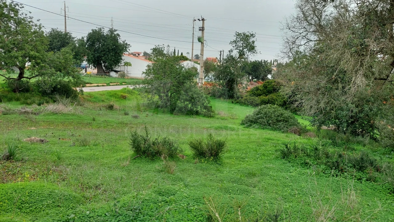 Terreno para Venda em Albufeira e Olhos de Água Foto 5