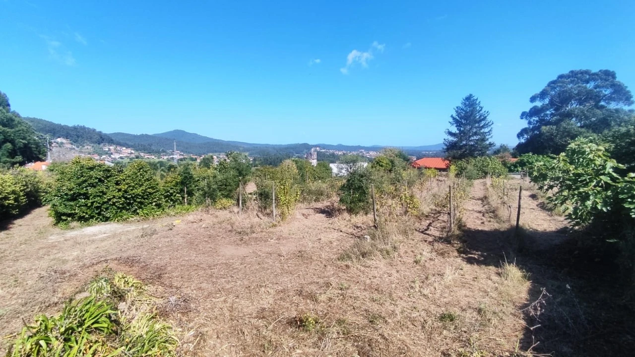Quinta para Venda em Palmeira de Faro e Curvos Foto 7