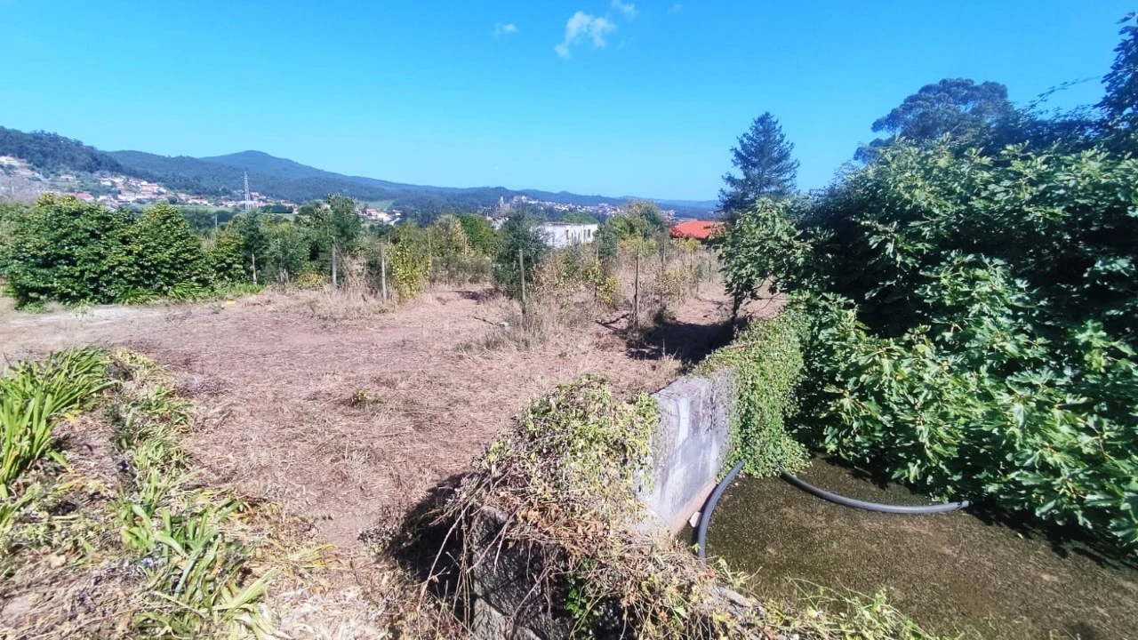 Quinta para Venda em Palmeira de Faro e Curvos Foto 8
