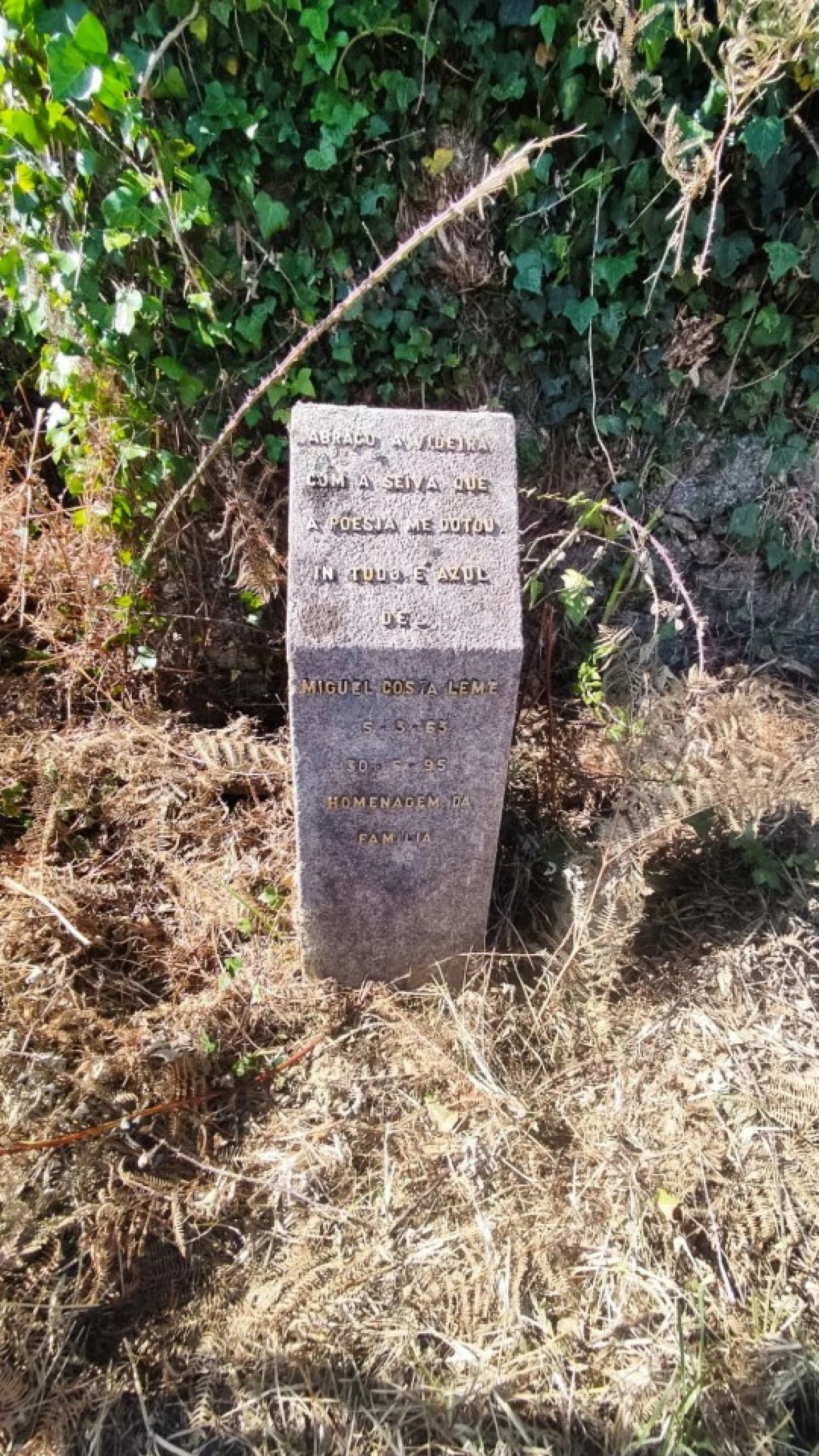 Quinta para Venda em Palmeira de Faro e Curvos Foto 10