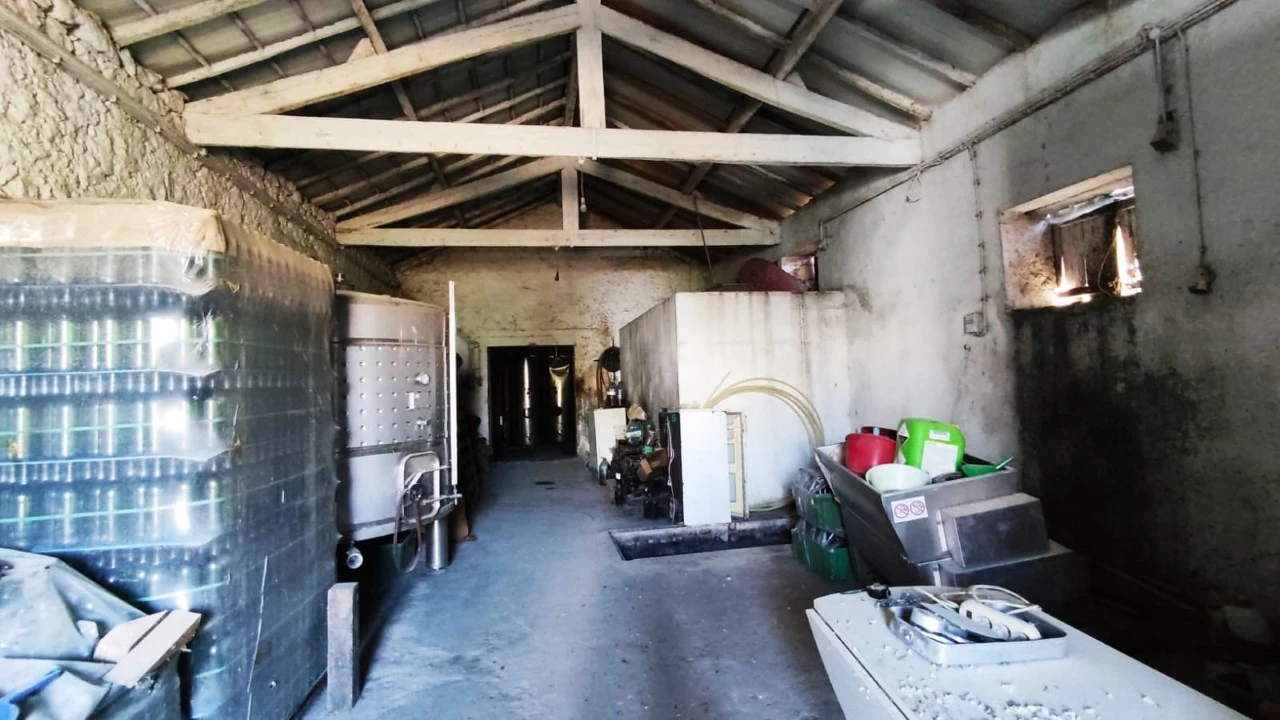 Quinta para Venda em Palmeira de Faro e Curvos Foto 13