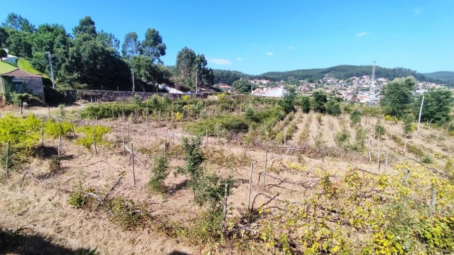 Quinta para Venda em Palmeira de Faro e Curvos Foto 1