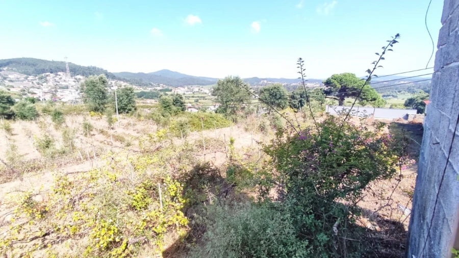 Quinta para Venda em Palmeira de Faro e Curvos Foto 2