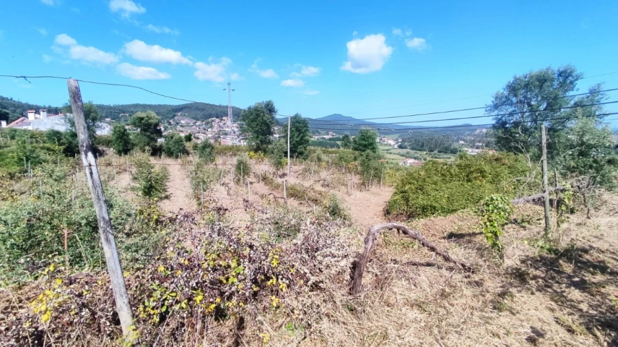 Quinta para Venda em Palmeira de Faro e Curvos Foto 4