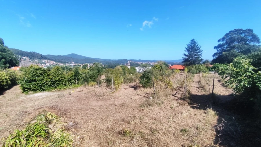 Quinta para Venda em Palmeira de Faro e Curvos Foto 7