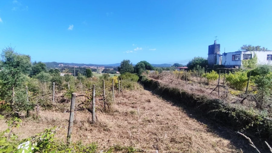 Quinta para Venda em Palmeira de Faro e Curvos Foto 11