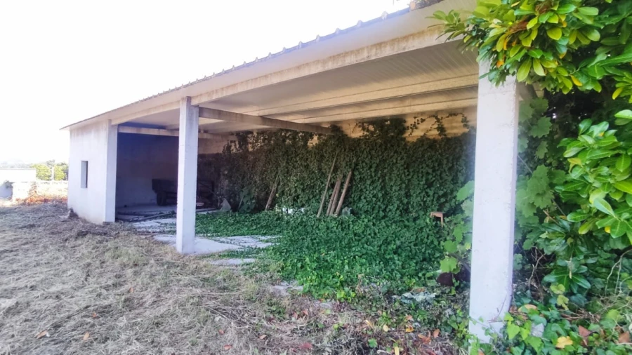 Quinta para Venda em Palmeira de Faro e Curvos Foto 15