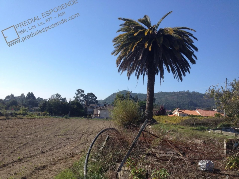 Quinta para Venda em Palmeira de Faro e Curvos Foto 6