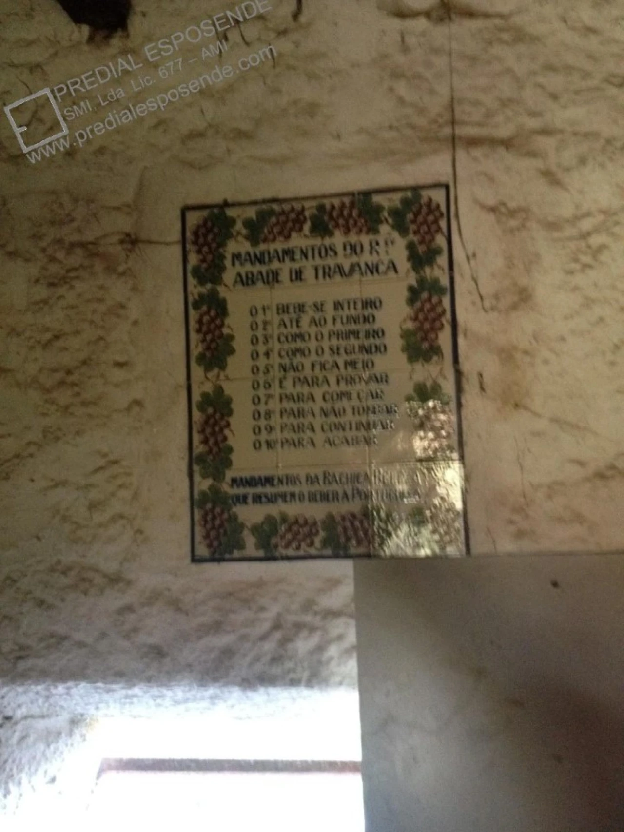 Quinta para Venda em Palmeira de Faro e Curvos Foto 12