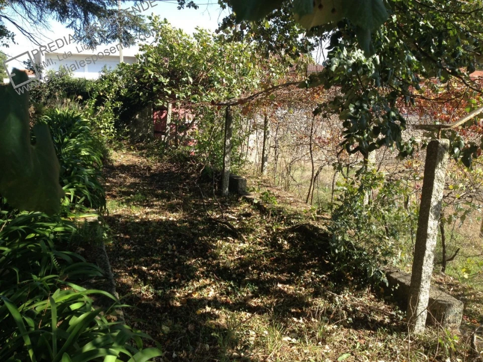 Quinta para Venda em Palmeira de Faro e Curvos Foto 15