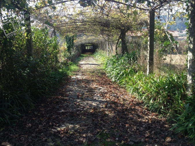 Quinta para Venda em Palmeira de Faro e Curvos Foto 5