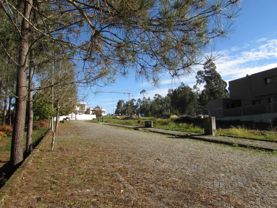 Terreno para Venda em Palmeira de Faro e Curvos Foto 1