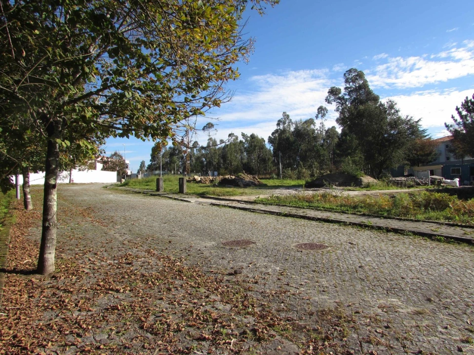 Terreno para Venda em Palmeira de Faro e Curvos Foto 3
