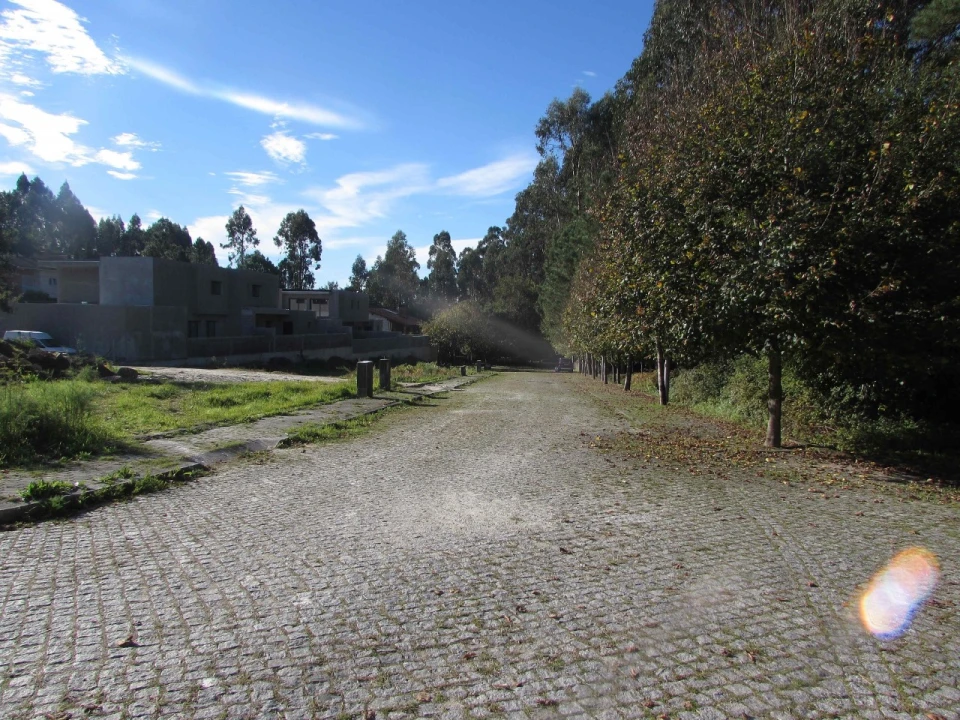Terreno para Venda em Palmeira de Faro e Curvos Foto 5