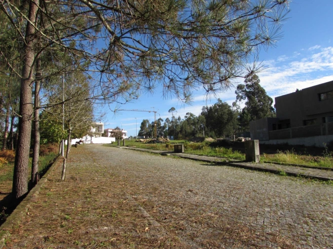 Terreno para Venda em Palmeira de Faro e Curvos