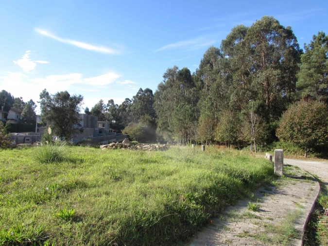 Terreno para Venda em Palmeira de Faro e Curvos Foto 8