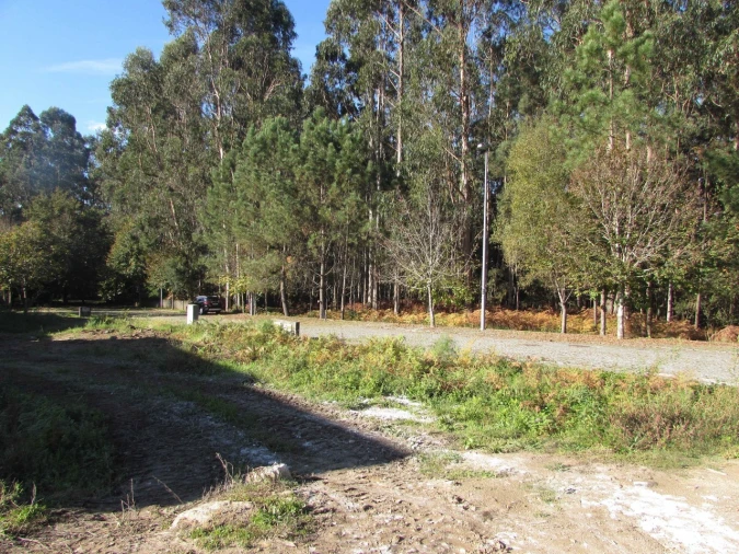 Terreno para Venda em Palmeira de Faro e Curvos Foto 10