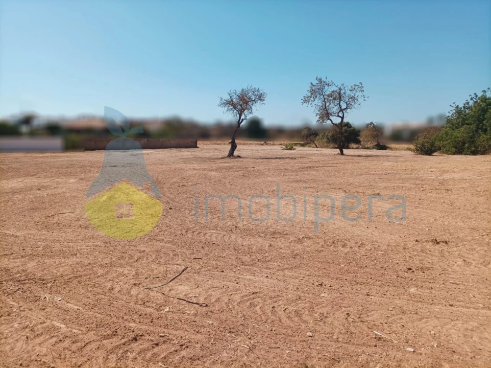 Terreno para Venda em Armação de Pera Foto 7
