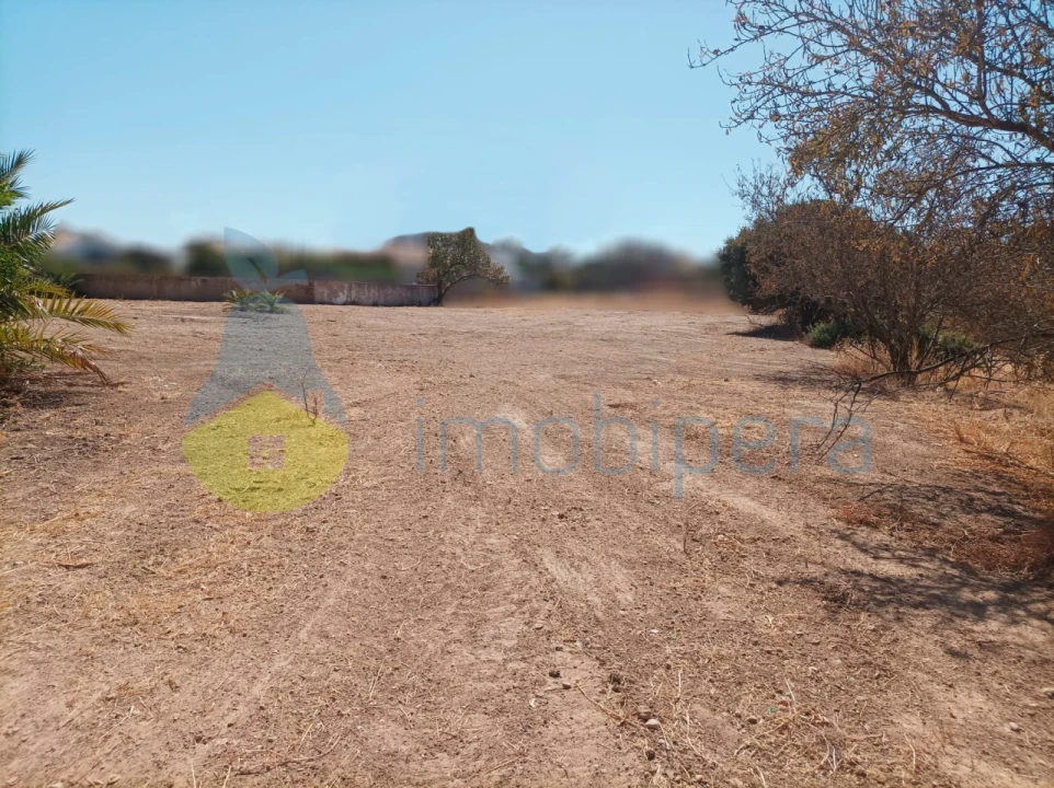 Terreno para Venda em Armação de Pera Foto 12