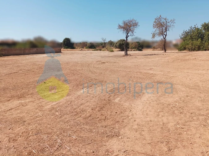 Terreno para Venda em Armação de Pera Foto 8