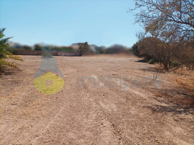Terreno para Venda em Armação de Pera Foto 12