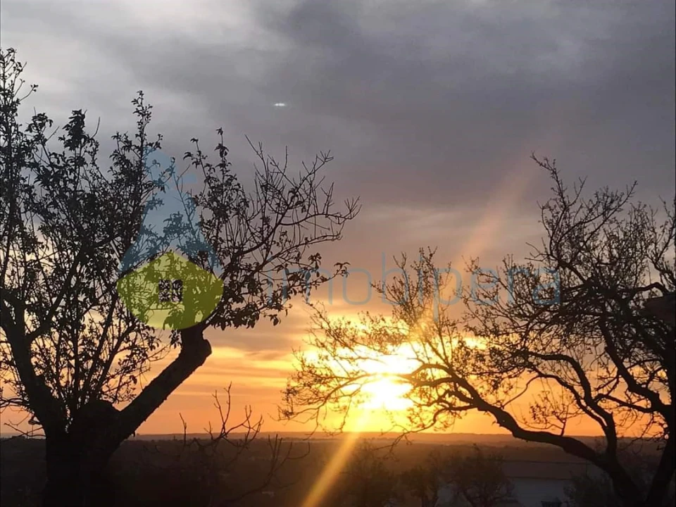 Terreno Agricola ou Rústico para Venda em Loule (São Clemente) Foto 5