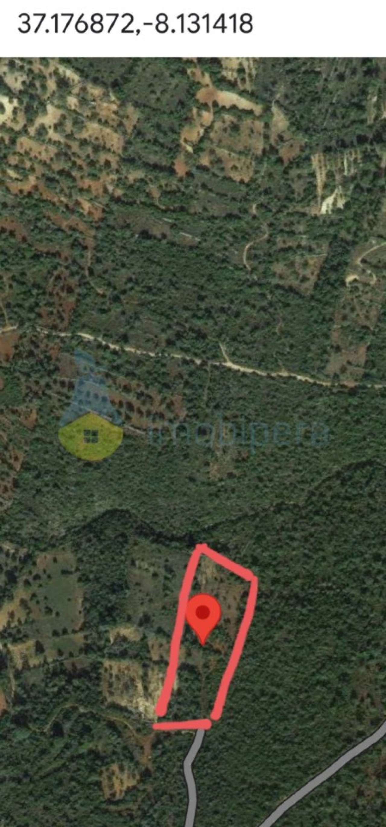 Terreno Agricola ou Rústico para Venda em Loule (São Clemente) Foto 4