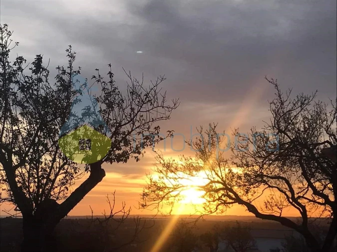 Terreno Agricola ou Rústico para Venda em Loule (São Clemente) Foto 5