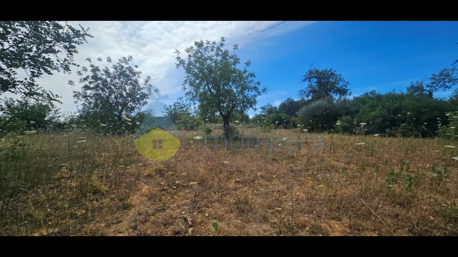 Terreno Agricola ou Rústico para Venda em Loule (São Clemente)