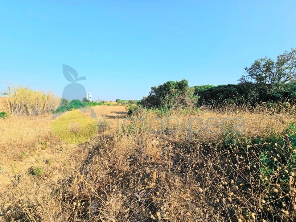 Terreno Agricola ou Rústico para Venda em Alcantarilha e Pêra Foto 5