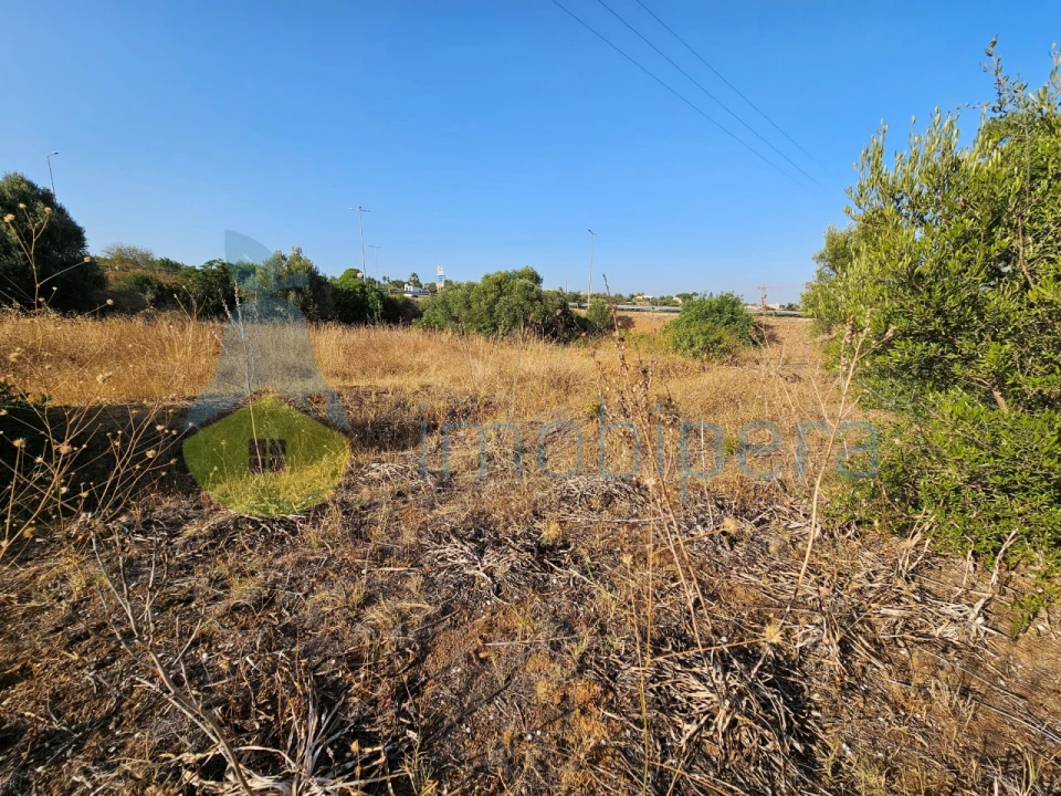 Terreno Agricola ou Rústico para Venda em Alcantarilha e Pêra Foto 4