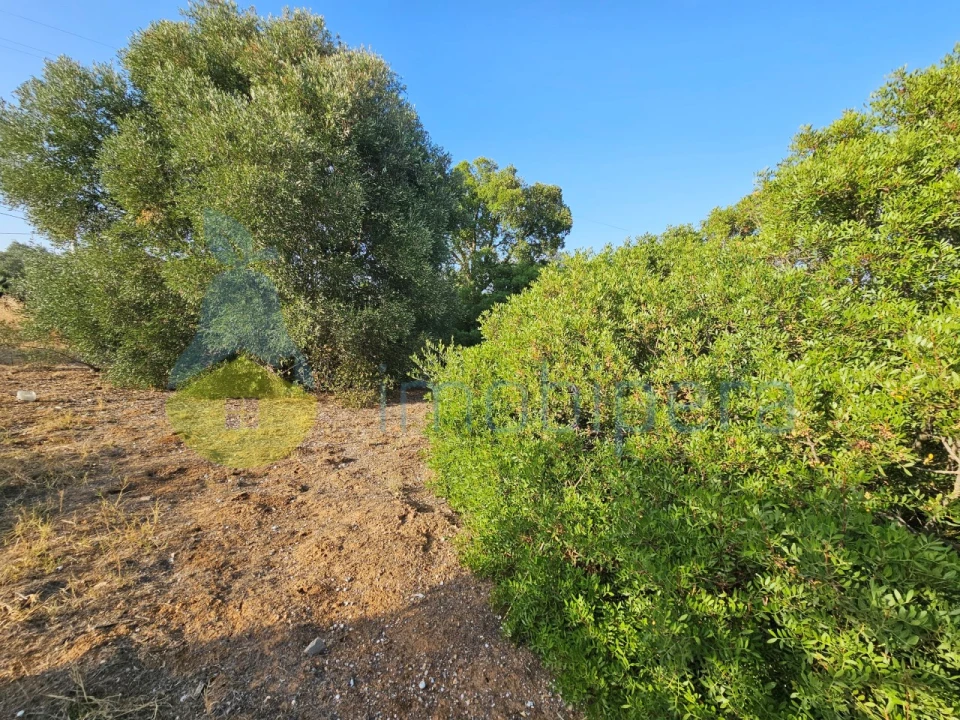 Terreno Agricola ou Rústico para Venda em Alcantarilha e Pêra Foto 2