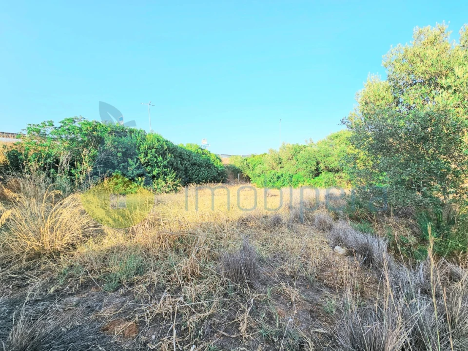 Terreno Agricola ou Rústico para Venda em Alcantarilha e Pêra Foto 3