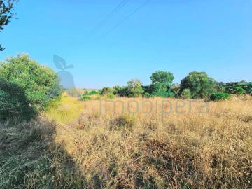 Terreno Agricola ou Rústico para Venda em Alcantarilha e Pêra