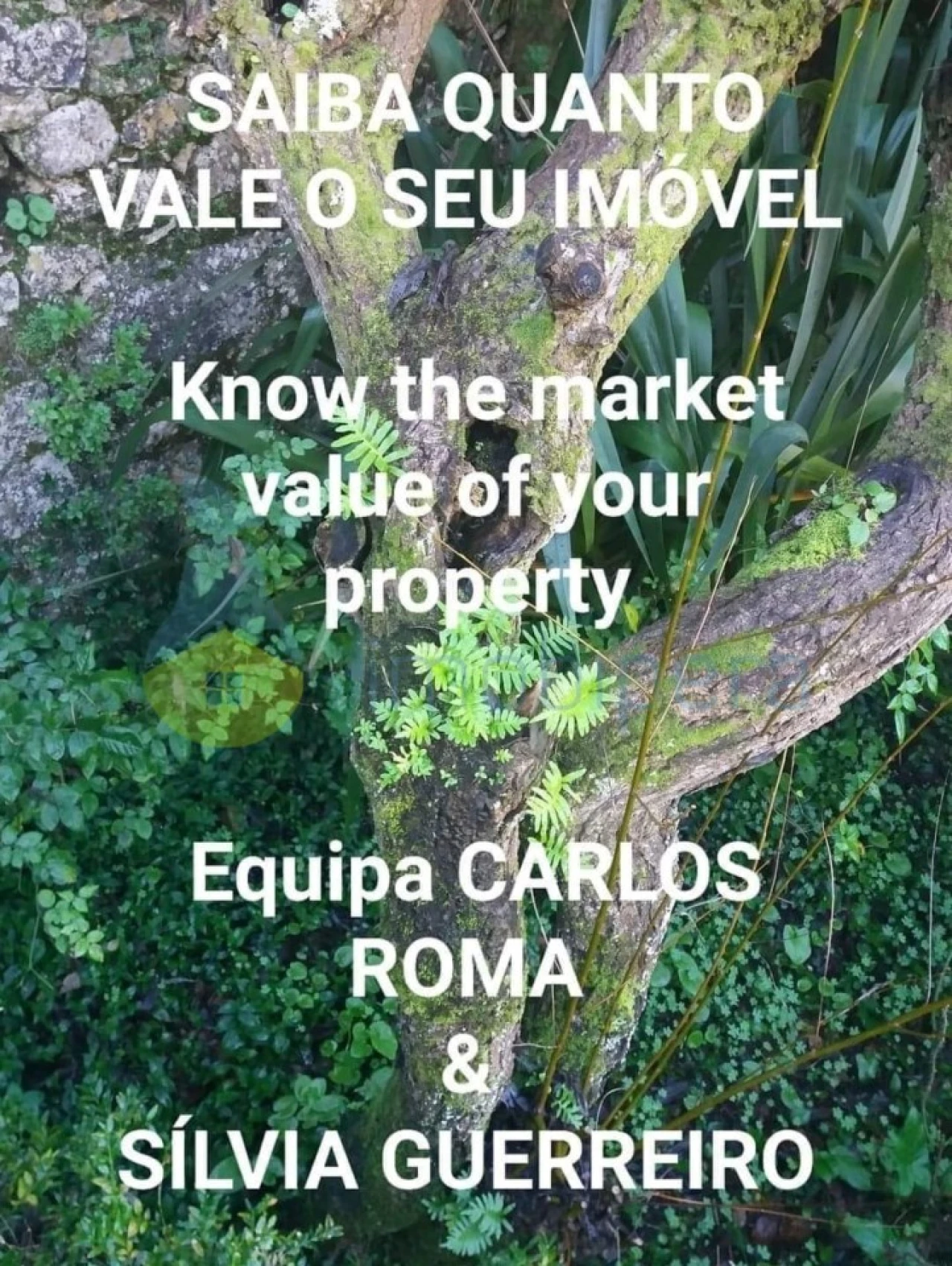 Terreno para Venda em Estômbar e Parchal Foto 2