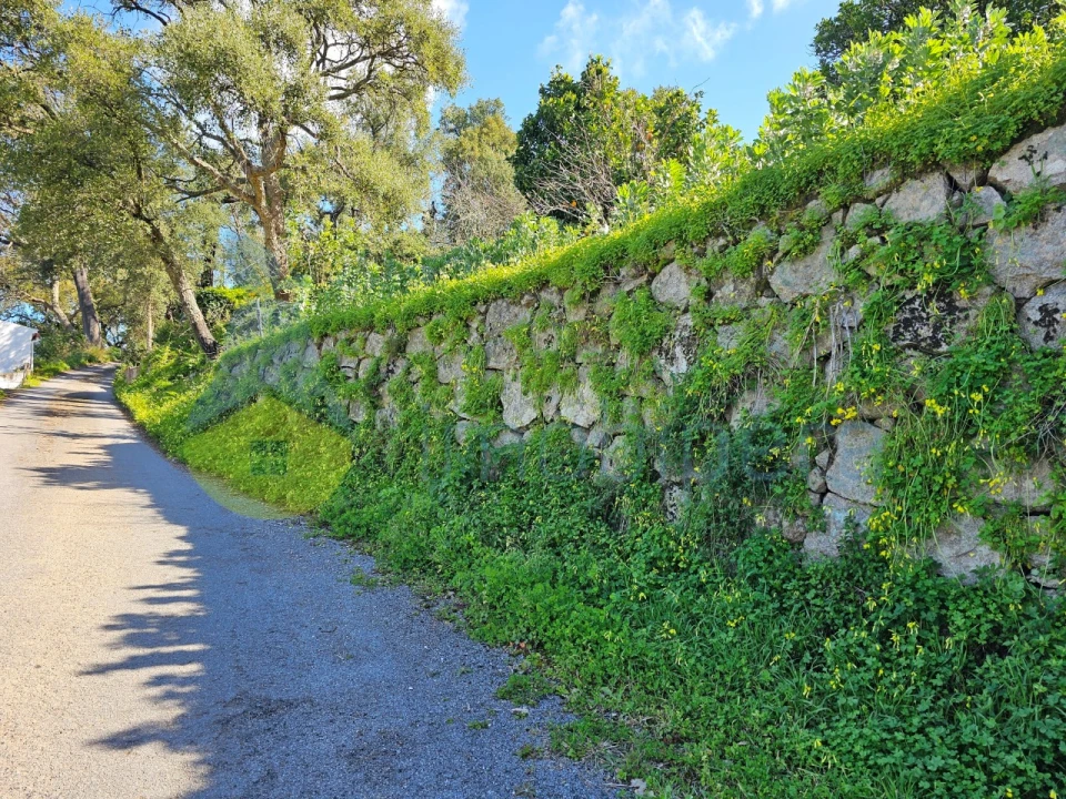 Quinta T1 para Venda em Alferce Foto 22