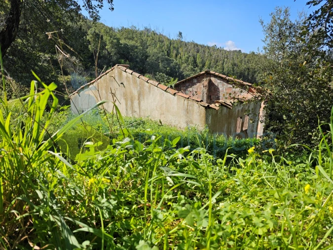 Quinta T1 para Venda em Alferce Foto 18