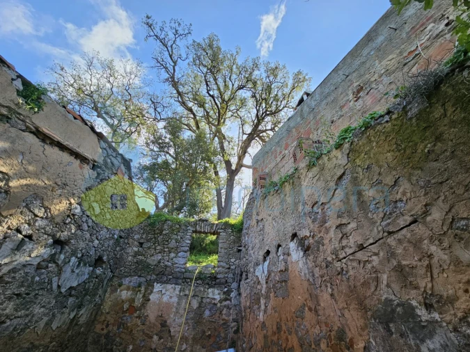 Quinta T1 para Venda em Alferce Foto 11