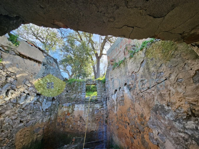 Quinta T1 para Venda em Alferce Foto 12