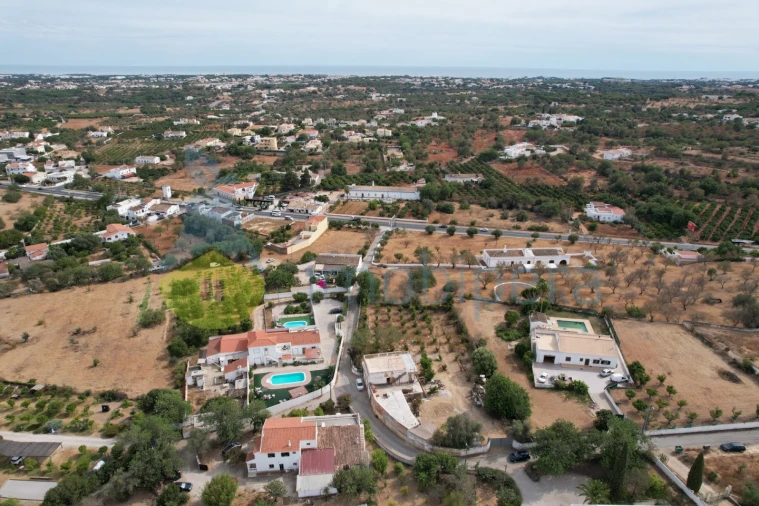 Quinta T8 para Venda em Boliqueime Foto 5