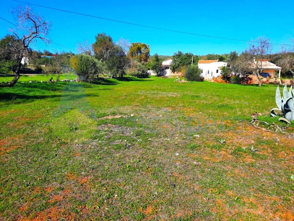 Terreno para Venda em São Bartolomeu de Messines Foto 7