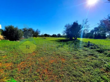 Terreno para Venda em São Bartolomeu de Messines